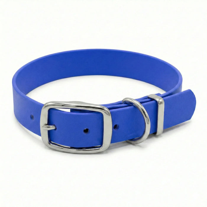 Electric Blue Waterproof Biothane Buckle Dog Collar