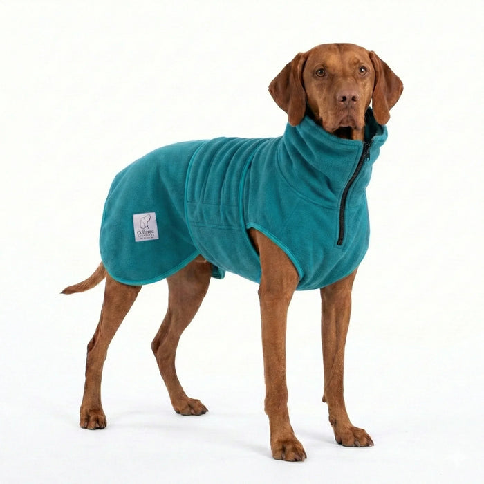 Teal Superior Perfectly Practical Dog Drying Coat