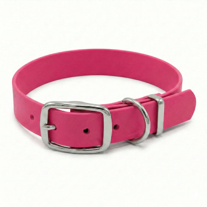 Fuchsia Waterproof Biothane Buckle Dog Collar