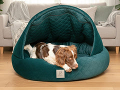 Collared Creatures Teal Quilted Velour Deluxe Comfort Cocoon Dog Cave Bed