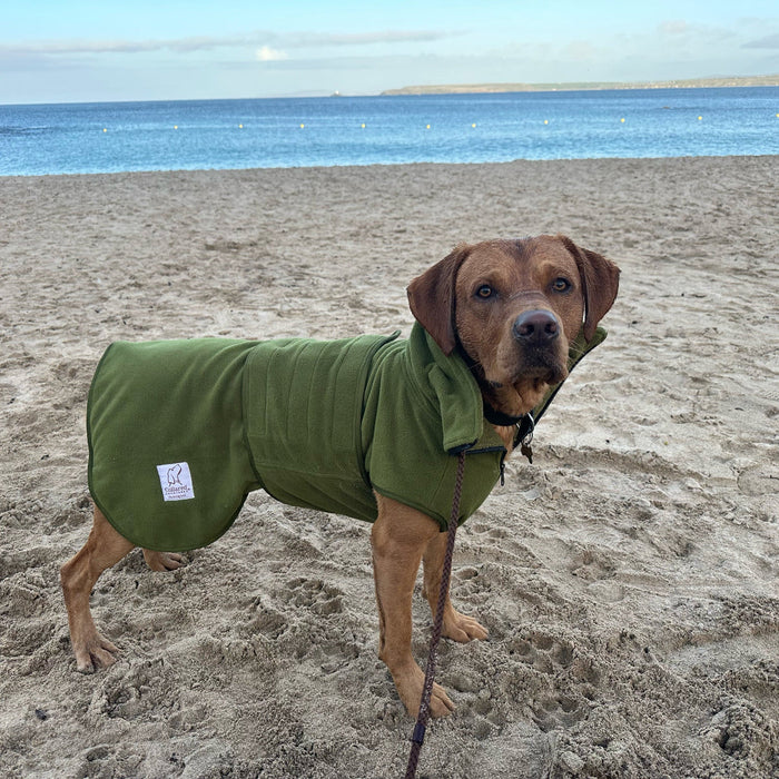Green Superior Perfectly Practical Dog Drying Coat