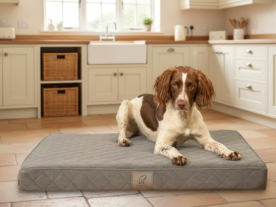 Collared Creatures Grey Velour Luxury Mattress Dog Bed