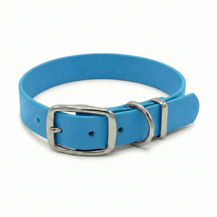 Turquoise Waterproof Biothane Buckle Dog Collar