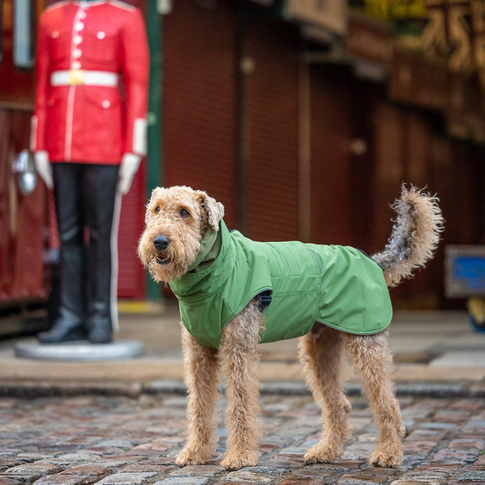 Green Superior Waterproof Dog Coat