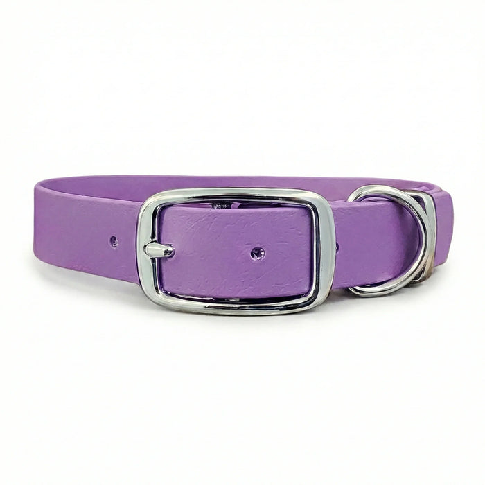 Amethyst Waterproof Biothane Buckle Dog Collar