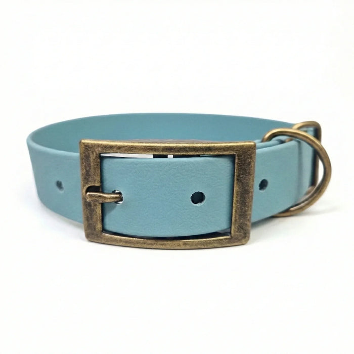 Duck Egg Blue Waterproof Biothane Buckle Dog Collar