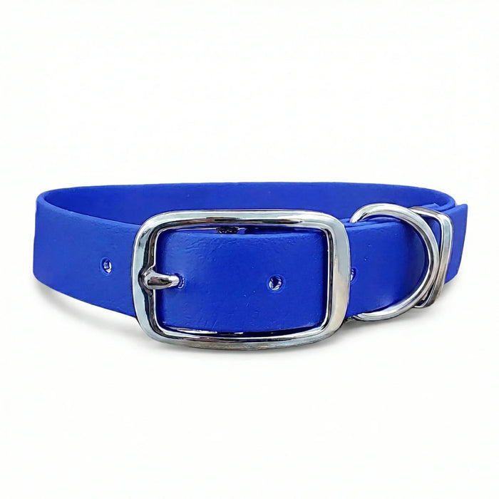 Electric Blue Waterproof Biothane Buckle Dog Collar