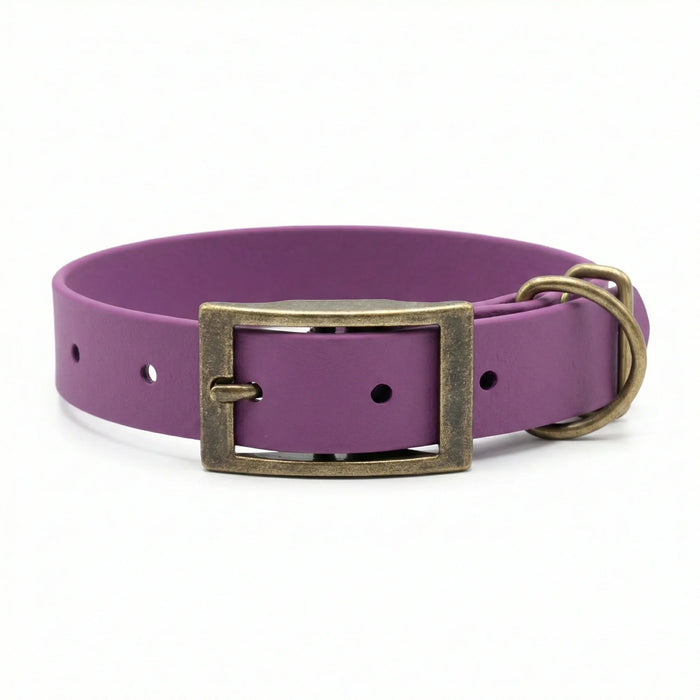 Grape Waterproof Biothane Buckle Dog Collar