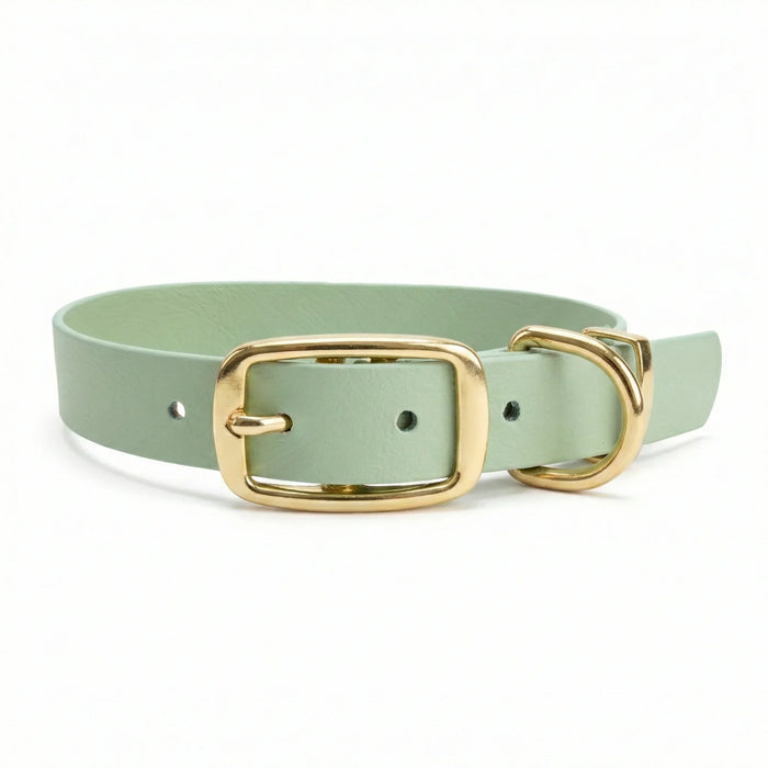 Guacamole Green Waterproof Biothane Buckle Dog Collar