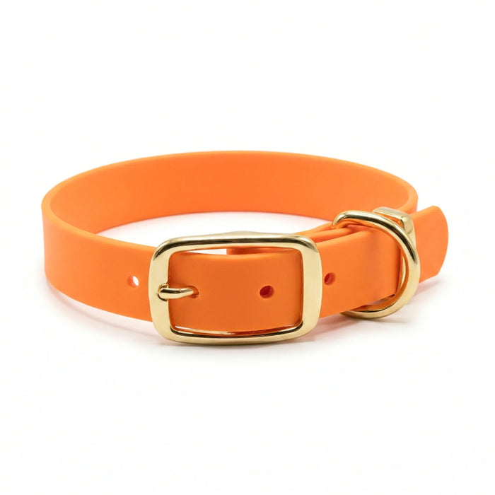 Tangerine Waterproof Biothane Buckle Dog Collar