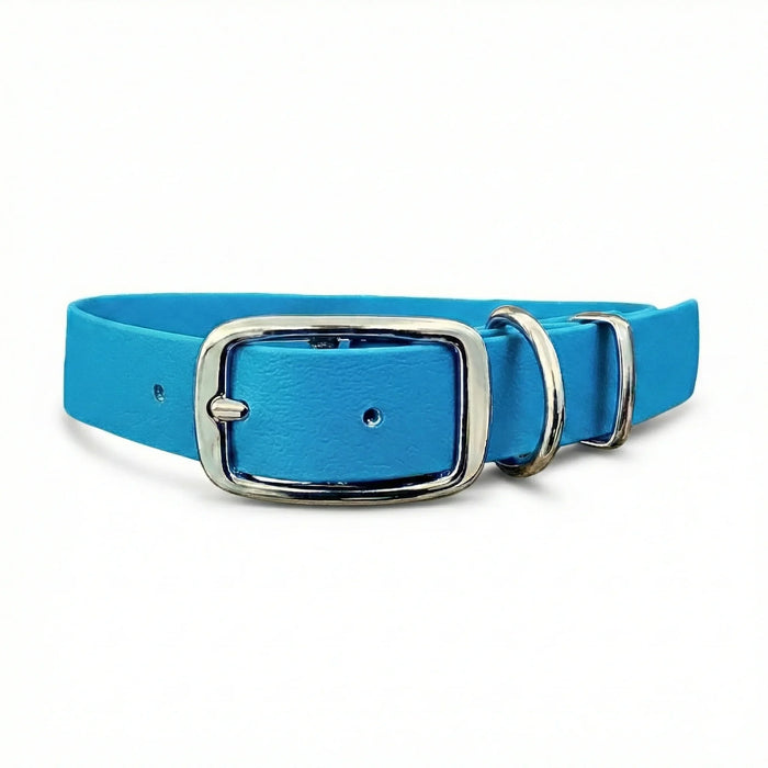 Turquoise Waterproof Biothane Buckle Dog Collar