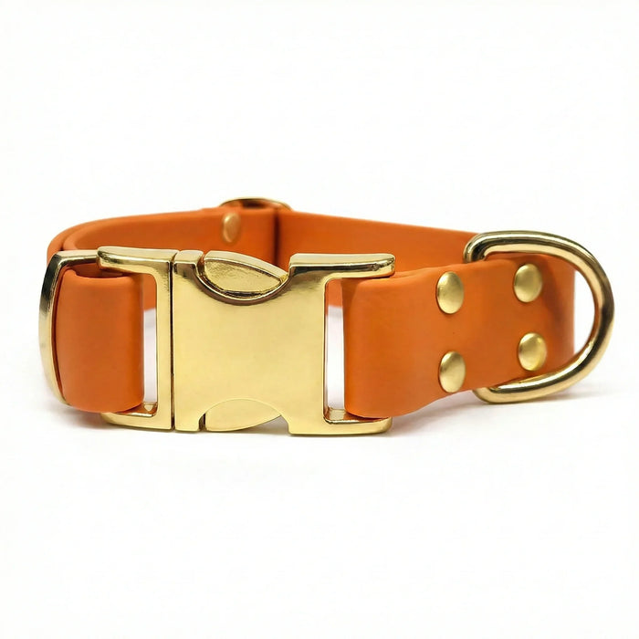 Burnt Orange Waterproof Biothane Metal Clasp Dog Collar