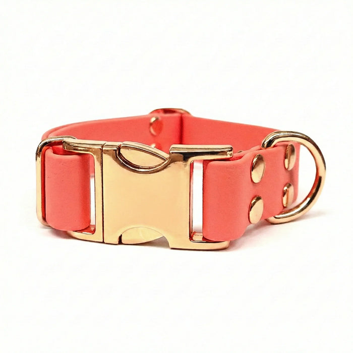 Coral Waterproof Biothane Metal Clasp Dog Collar