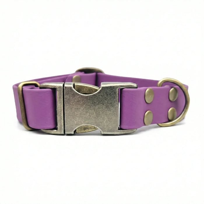 Grape Waterproof Biothane Metal Clasp Dog Collar