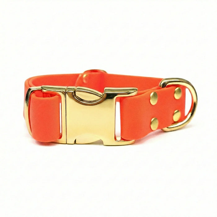 Neon Orange Waterproof Biothane Metal Clasp Dog Collar