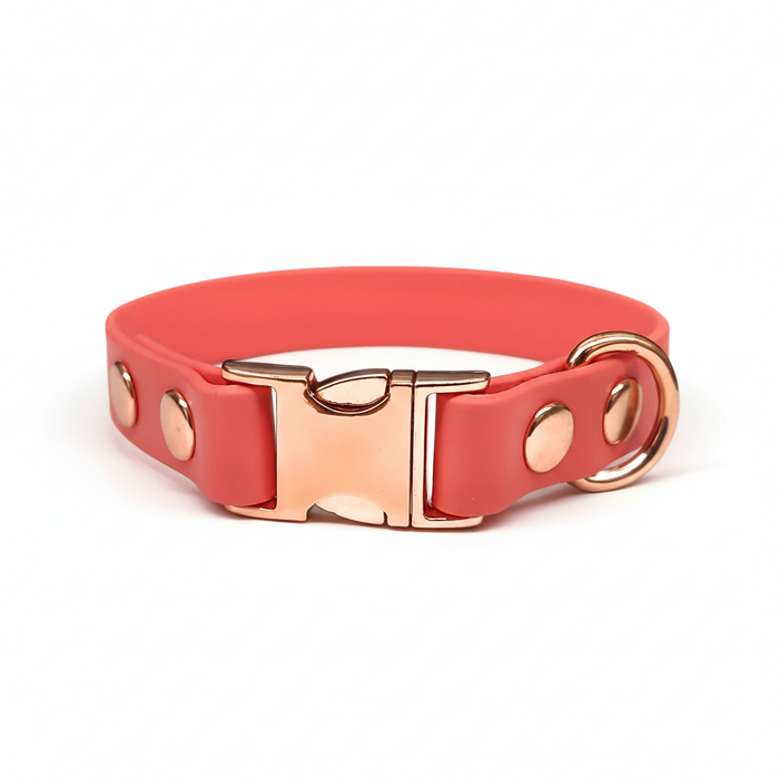 Coral Small Breed Waterproof Biothane Dog Collar 21cm to 28cm neck