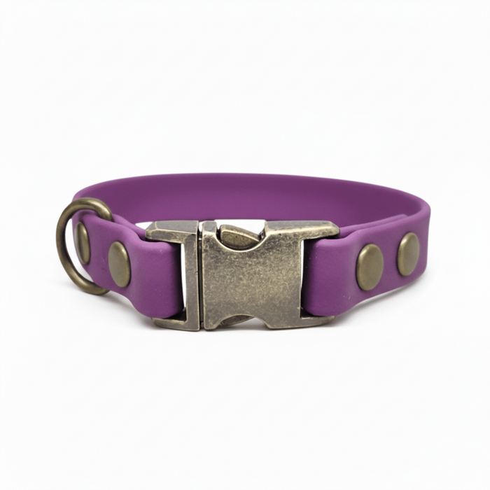 Grape Small Breed Waterproof Biothane Dog Collar 21cm to 28cm Neck