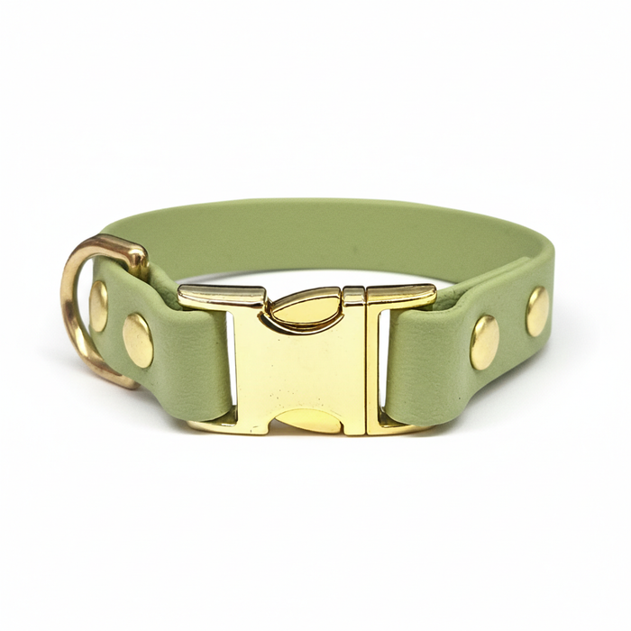 Guacamole Green Small Breed Waterproof Biothane Dog Collar 21cm to 28cm Neck
