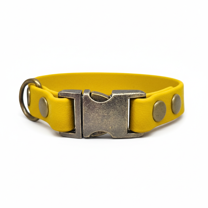 Mustard Small Breed Waterproof Biothane Dog Collar 21cm to 28cm Neck