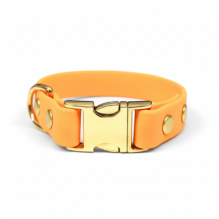 Tangerine Small Breed Waterproof Biothane Dog Collar 21cm to 28cm Neck