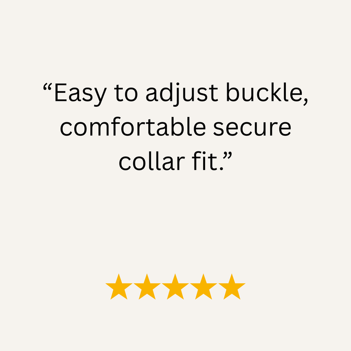 Mauve Waterproof Biothane Buckle Dog Collar