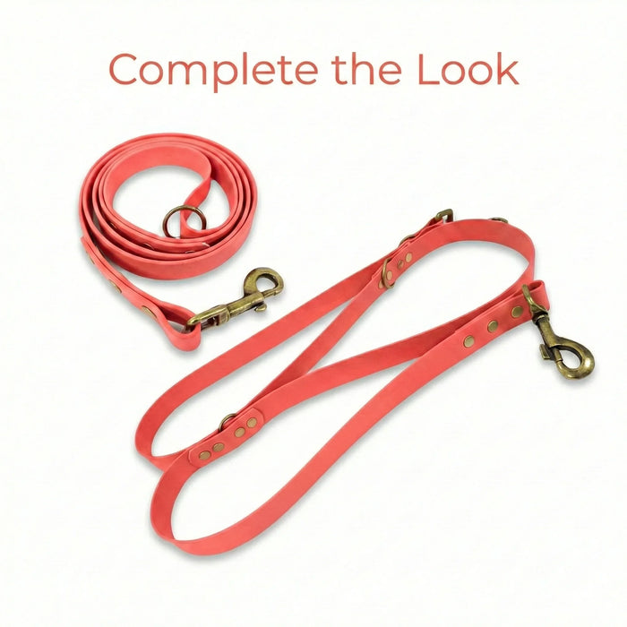 Coral Waterproof Biothane Buckle Dog Collar