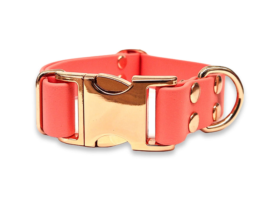 Coral Waterproof Biothane Metal Clasp Dog Collar