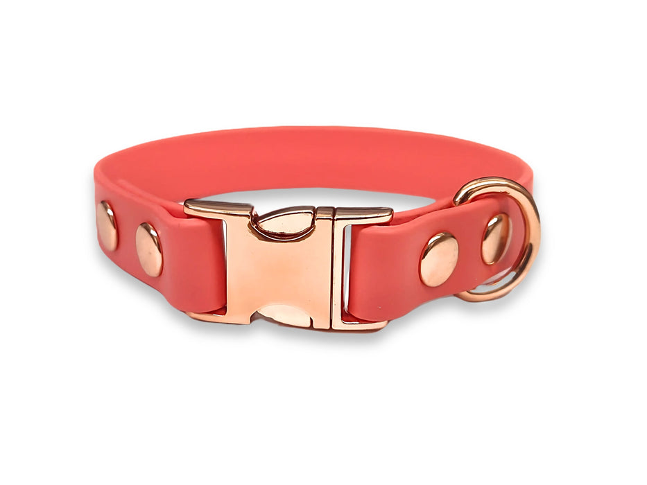 Coral Small Breed Waterproof Biothane Dog Collar 21cm to 28cm neck