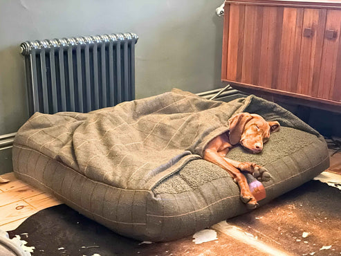 Collared Creatures - Green Tweed Luxury Dog Snuggle Bed / Snuggle Sack /Sleeping Sack Luxury Dog Bed