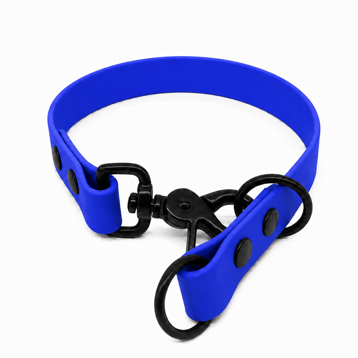 Electric Blue Waterproof Biothane Slip Dog Collar