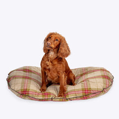 Newton Moss Quilted Mattress-Dog Bed