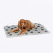 Danish Design Beds 50cm / Grey Pet Fleece Blankets