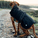 Danish Design Beds Black Harness Dog Coat