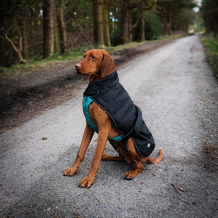 Danish Design Beds Black Harness Dog Coat