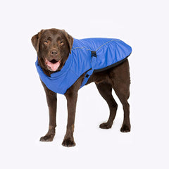 Sports Luxe Dog Coat