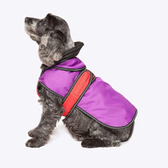 2 in 1 Ultimate Dog Coat