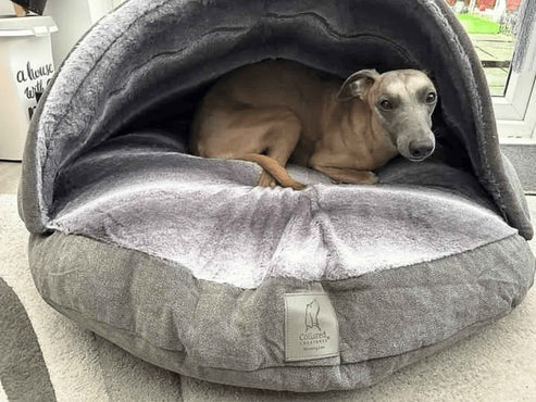 Collared Creatures - Grey Luxury Dog Cave Bed - Removable Hood