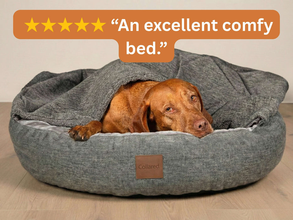 Grey Classic Comfort Cocoon Dog Bed (cushion base)