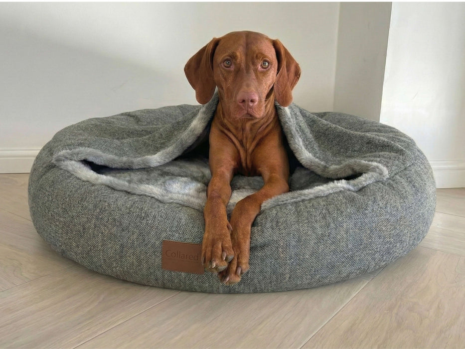 Grey Classic Comfort Cocoon Dog Bed (cushion base)