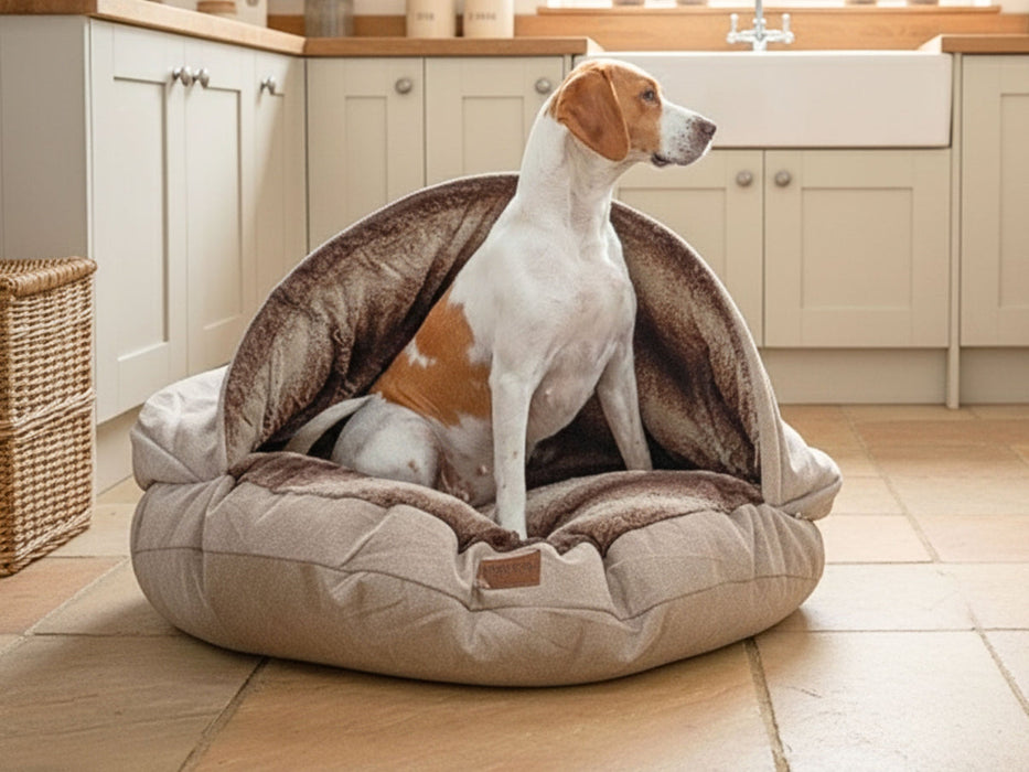 Collared Creatures - The Luxury Cave Dog Bed -  Beige
