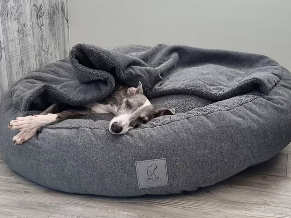 Collared Creatures - Luxury Grey Cocoon Cushion Round Dog Bed
