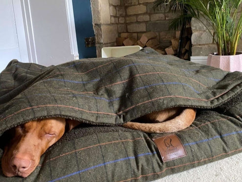 Collared Creatures - Green Tweed Luxury Dog Snuggle Bed / Snuggle Sack /Sleeping Sack Luxury Dog Bed