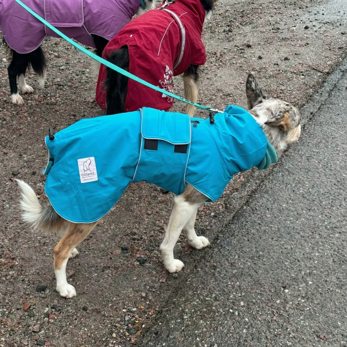 Teal Superior Waterproof Dog Coat