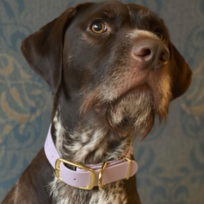 Pastel Pink Waterproof Biothane Buckle Dog Collar