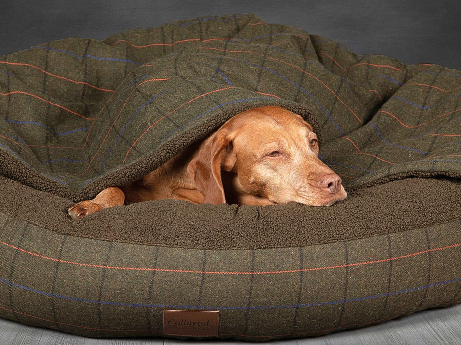 Collared Creatures - Green Tweed Luxury Cocoon Cushion Round Dog Bed