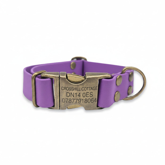 Amethyst Waterproof Biothane Metal Clasp Dog Collar