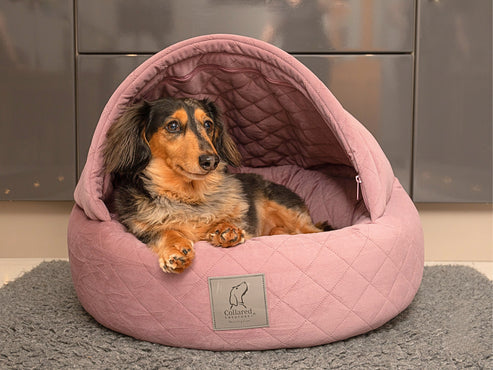 Collared Creatures Pink Quilted Velour Deluxe Comfort Cocoon Dog Cave Bed