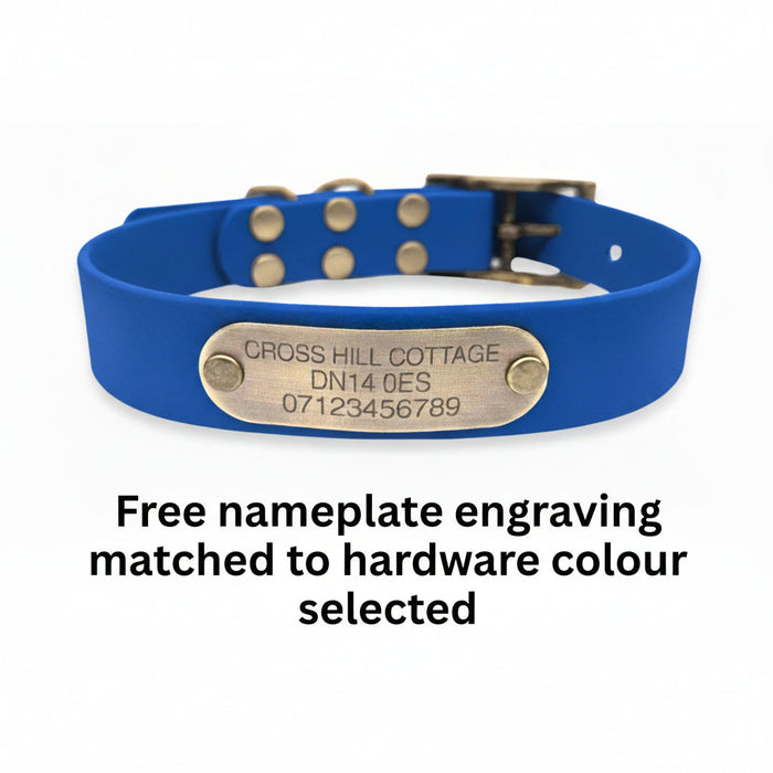 Electric Blue Waterproof Biothane Buckle Dog Collar