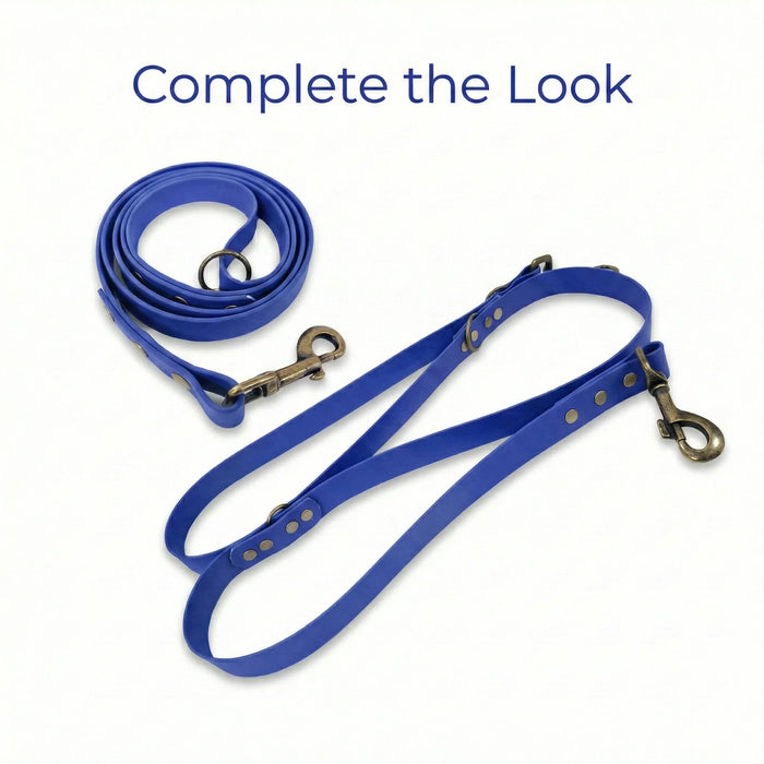 Electric Blue Waterproof Biothane Metal Clasp Dog Collar