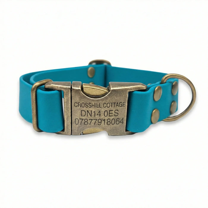Turquoise Waterproof Biothane Metal Clasp Dog Collar